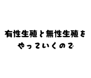 773508596