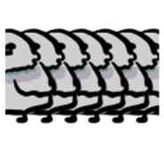 773512684