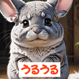 773519341