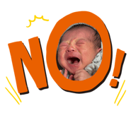 773520065
