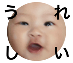 773520494
