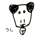 773520525