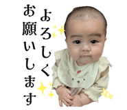 773521281