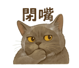 773521436