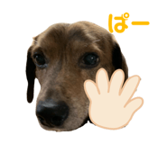 773528447