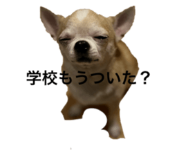 773534296