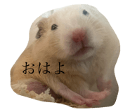 773541913