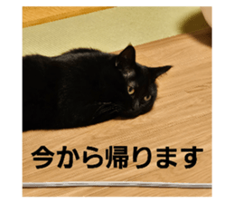 773545134