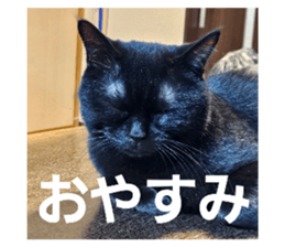 773545140