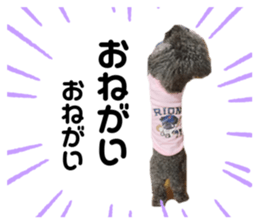 773551397
