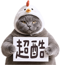 773553748