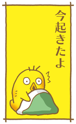 773555005