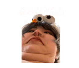 773558815