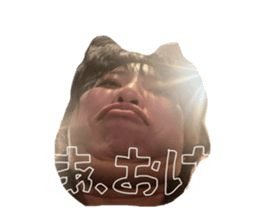 773558816