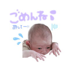 773559522