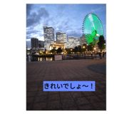 773561211