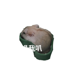 773562440