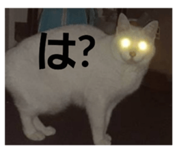 773566987