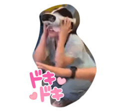 773567590