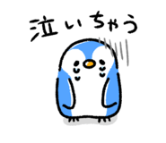 773568331