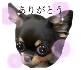 773568537