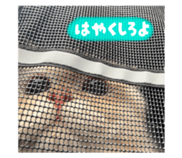 773572482