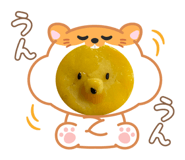 773573966
