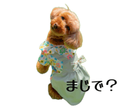 773574517