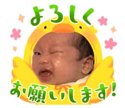 773575151