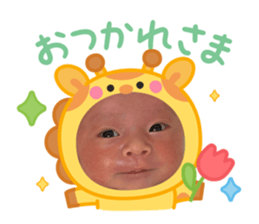 773575435