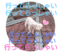 773587149