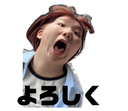 773593336