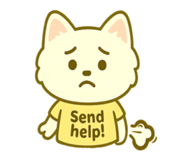 773593528