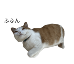 773595299