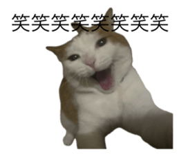 773595301