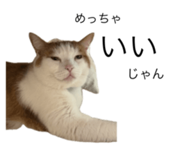 773595309