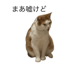 773595314