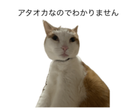 773595315