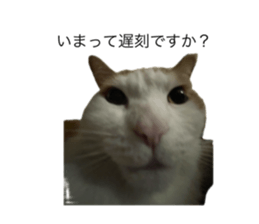 773595318