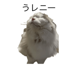 773595321