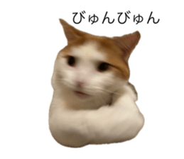 773595323