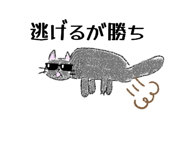 773596637