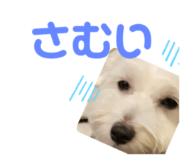 773600191