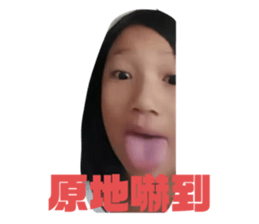 773601316