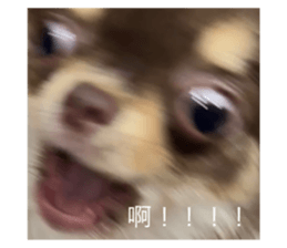 773601493