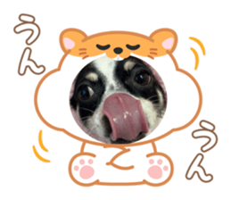 773604734