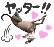 773607006