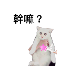 773607783