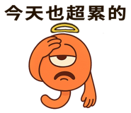 773619534