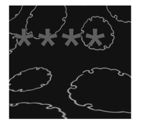 773626082